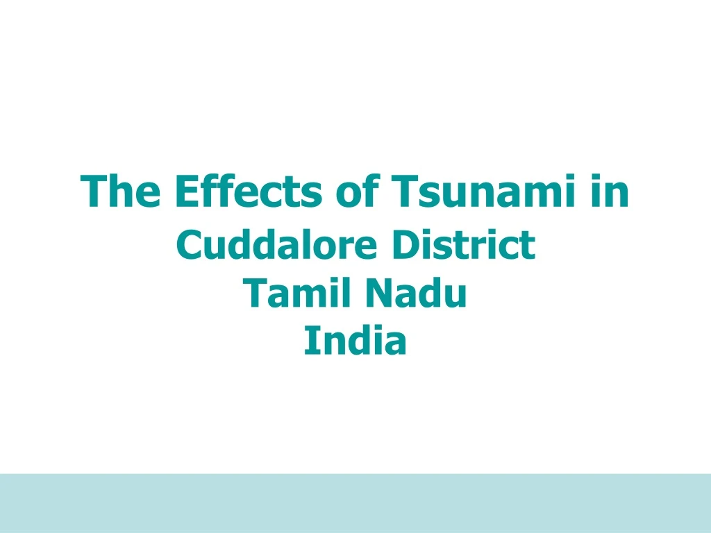 the effects of tsunami in cuddalore district