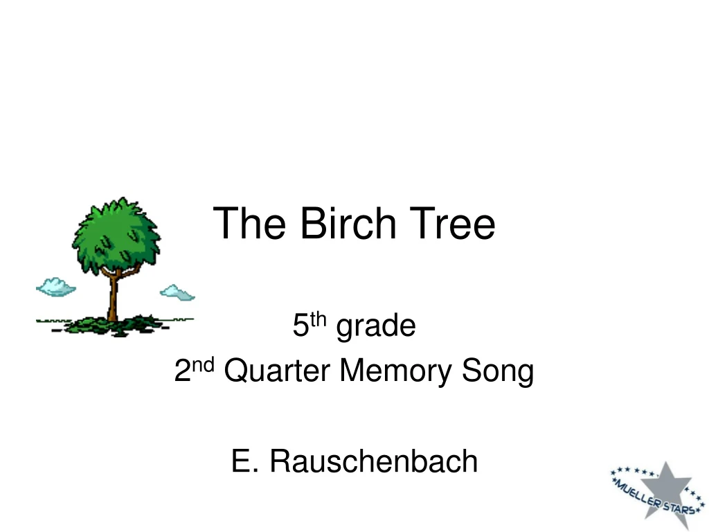 the birch tree