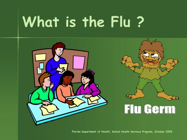 What is the Flu ?