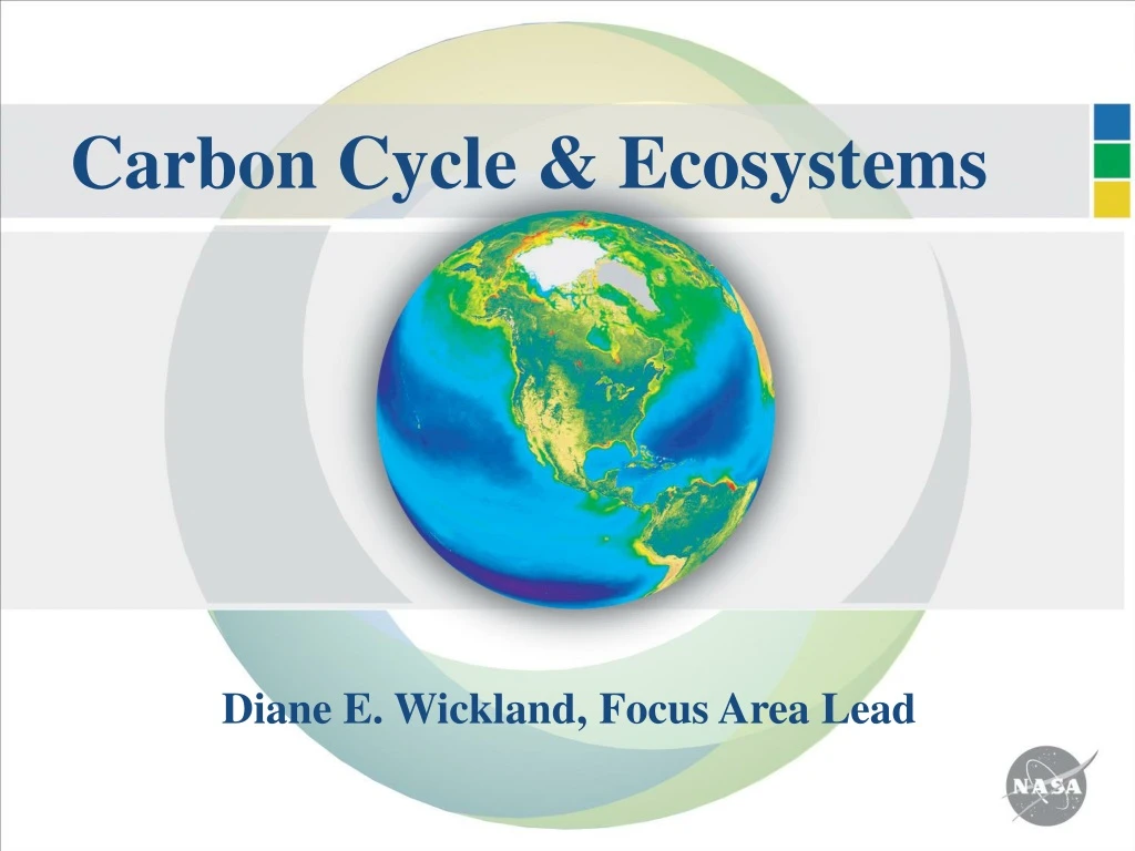 carbon cycle ecosystems