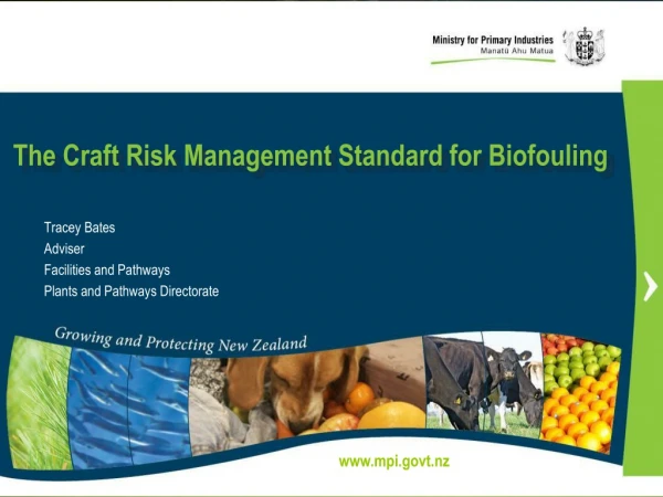 The Craft Risk Management Standard for Biofouling