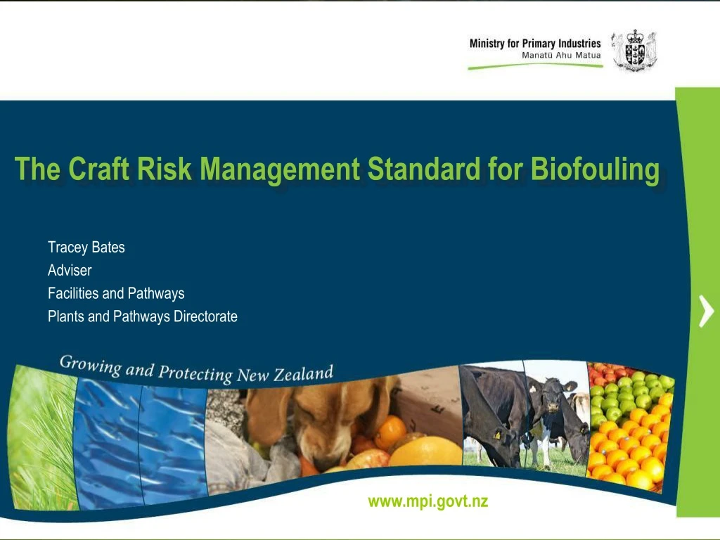 the craft risk management standard for biofouling