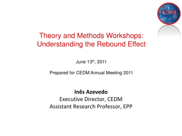 Inês Azevedo Executive Director, CEDM Assistant Research Professor, EPP