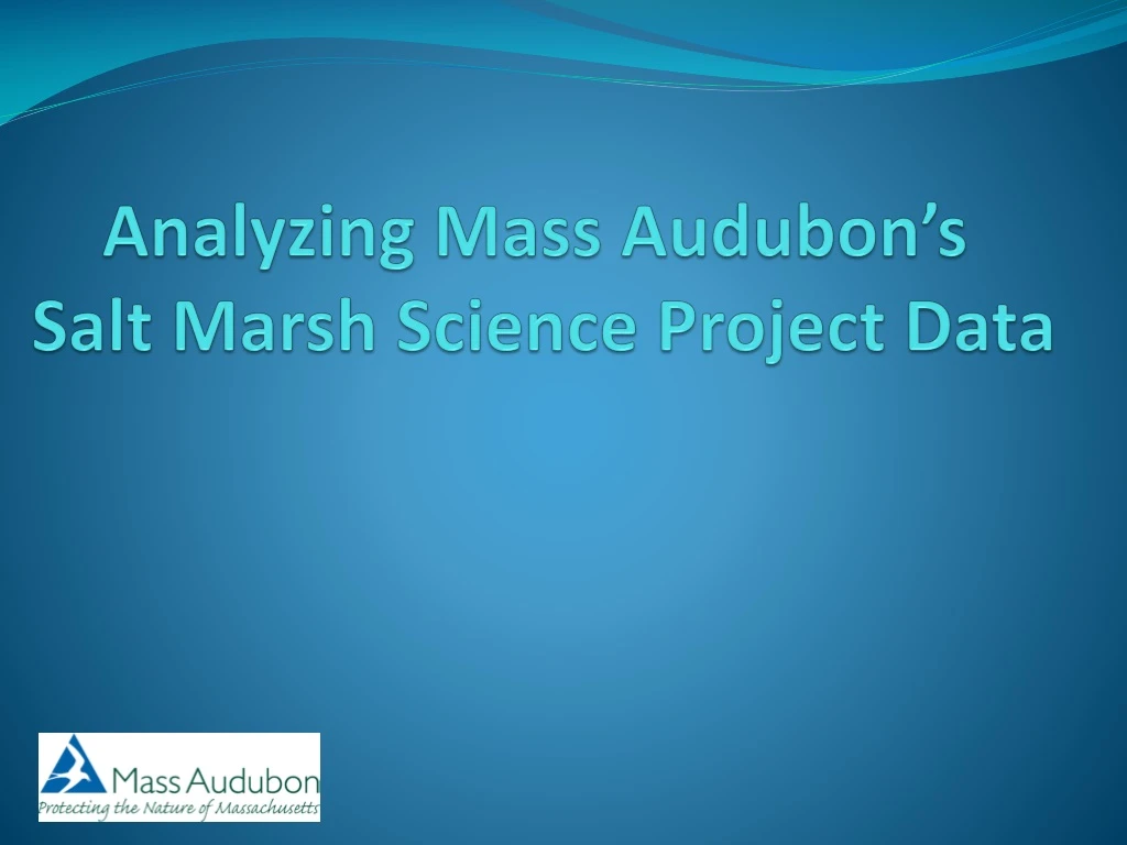 analyzing mass audubon s salt marsh science project data