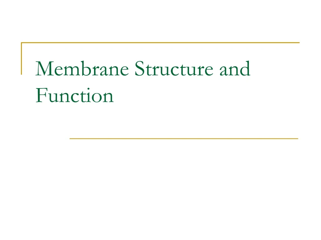 membrane structure and function