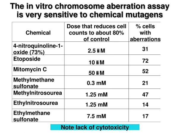 The in vitro chromosome aberration assay is very sensitive to chemical mutagens