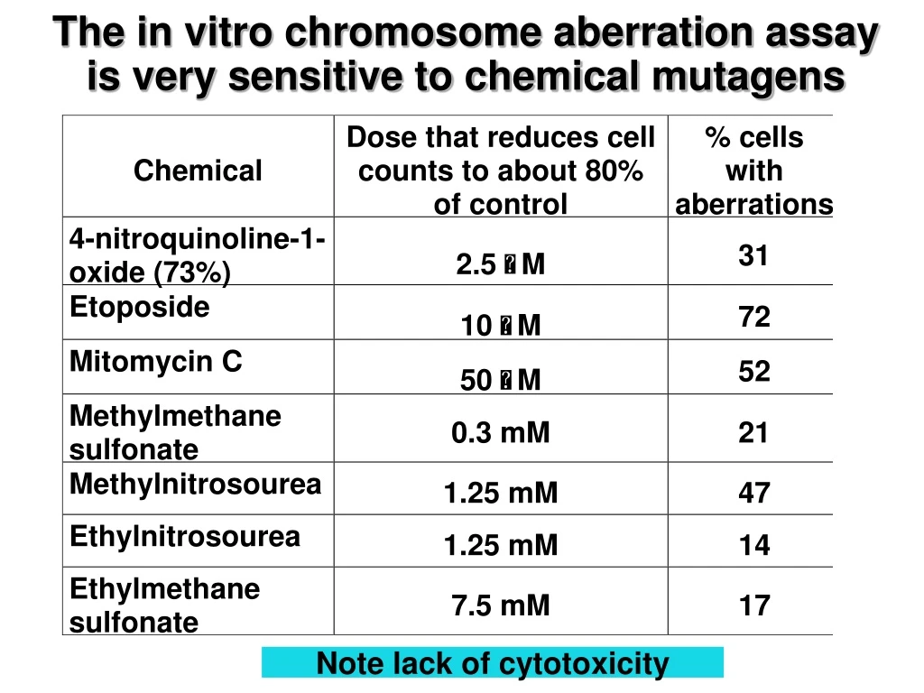 the in vitro chromosome aberration assay is very sensitive to chemical mutagens