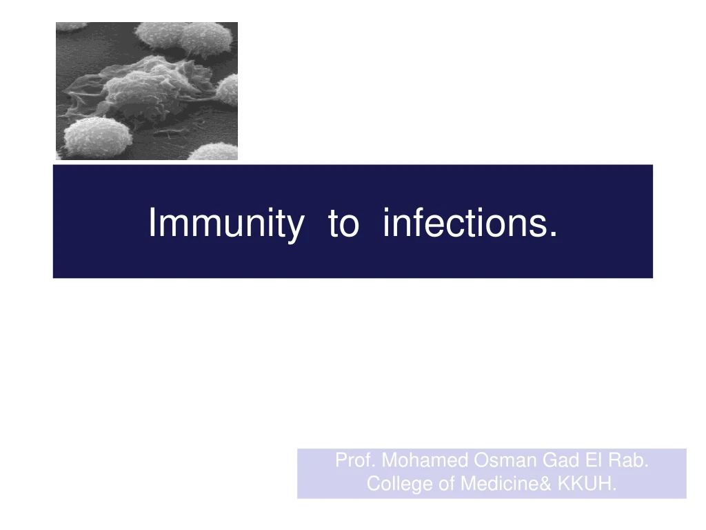 immunity to infections