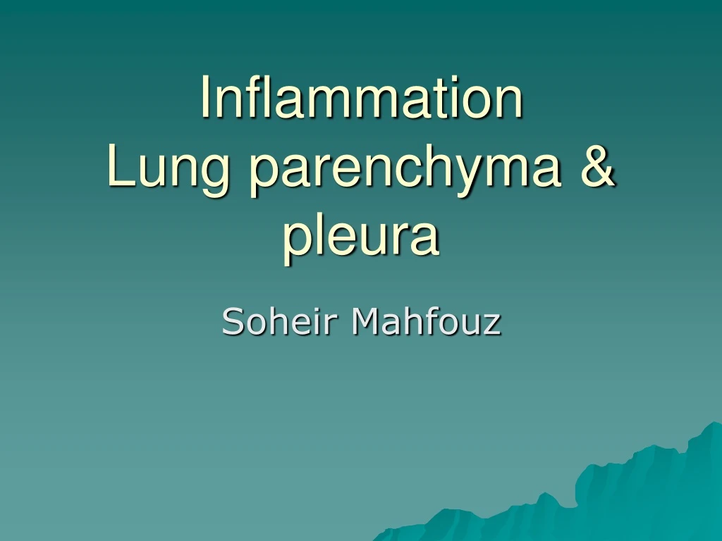 inflammation lung parenchyma pleura