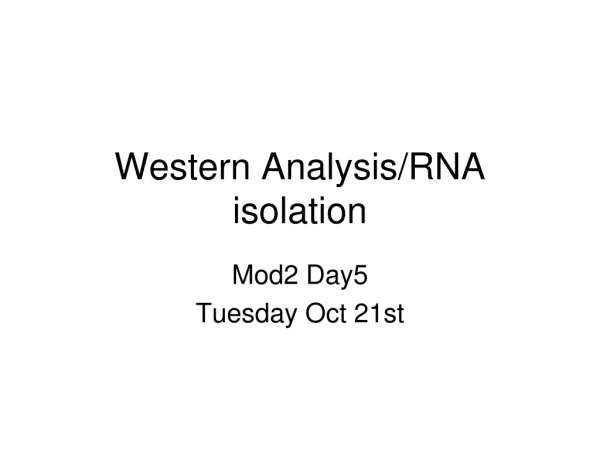 Western Analysis/RNA isolation