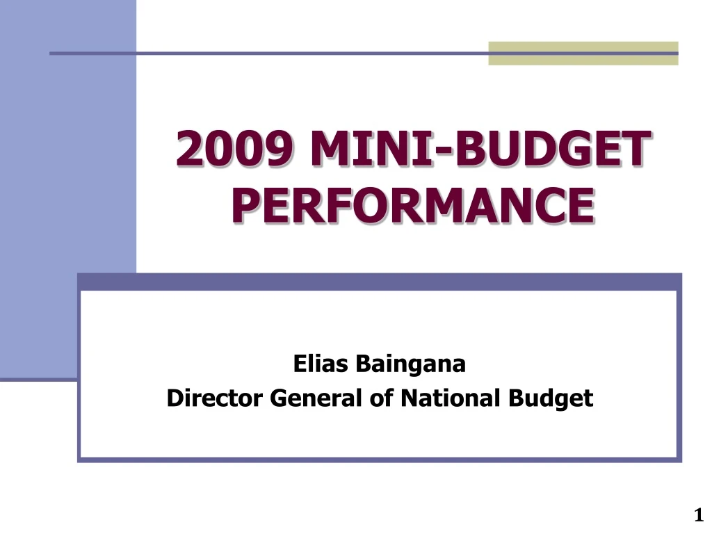 2009 mini budget performance