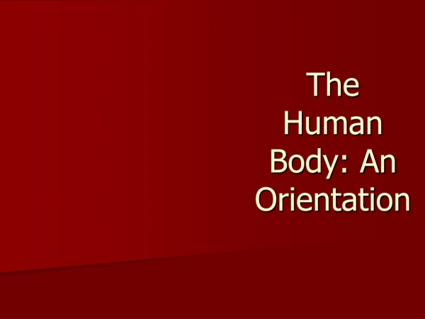 The Human Body: An Orientation