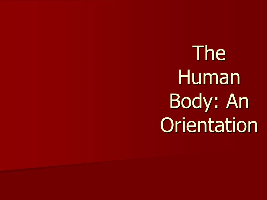 Ppt The Human Body An Orientation Powerpoint Presentation Free
