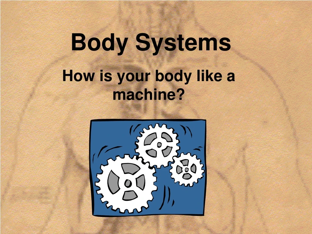 body systems