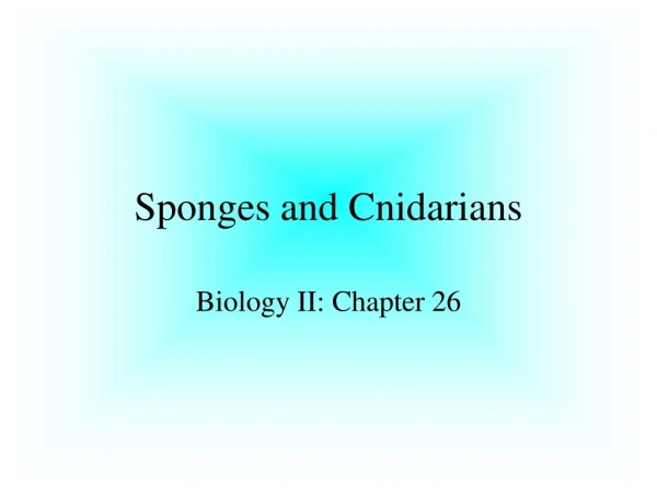 Sponges and Cnidarians