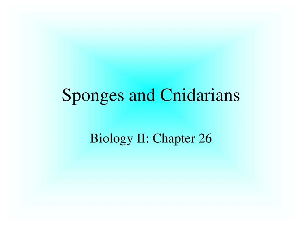 sponges and cnidarians
