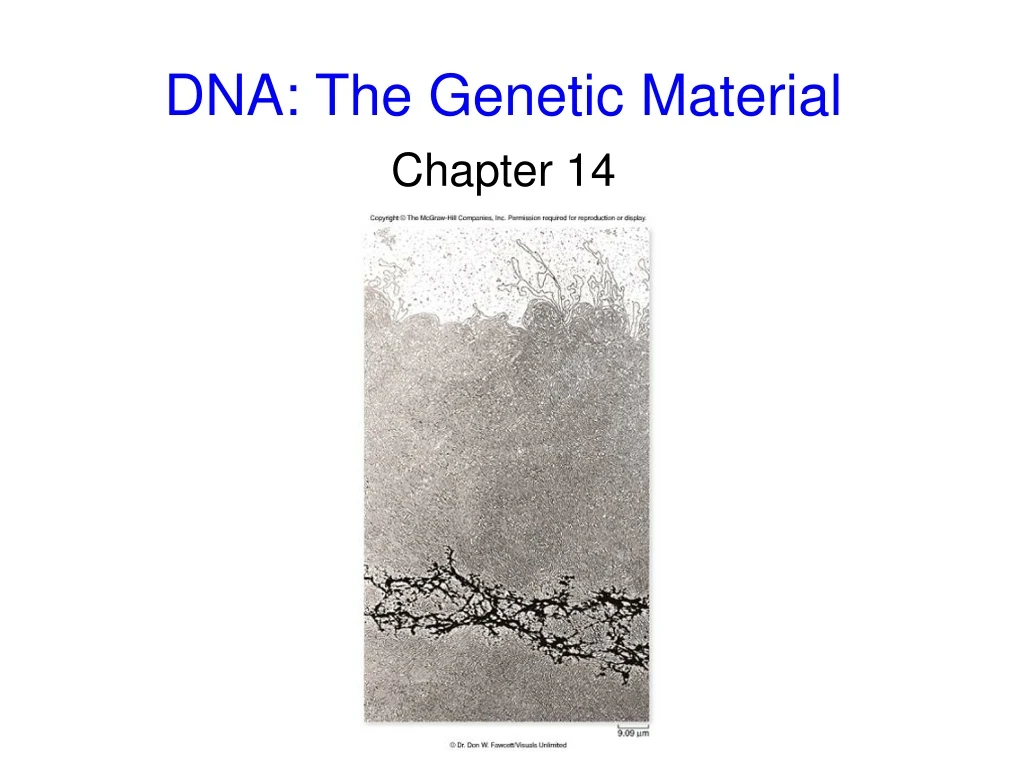 dna the genetic material