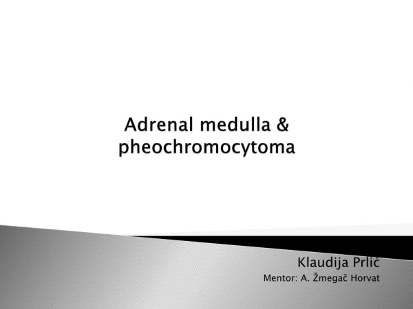 Adrenal medulla &amp; pheochromocytoma