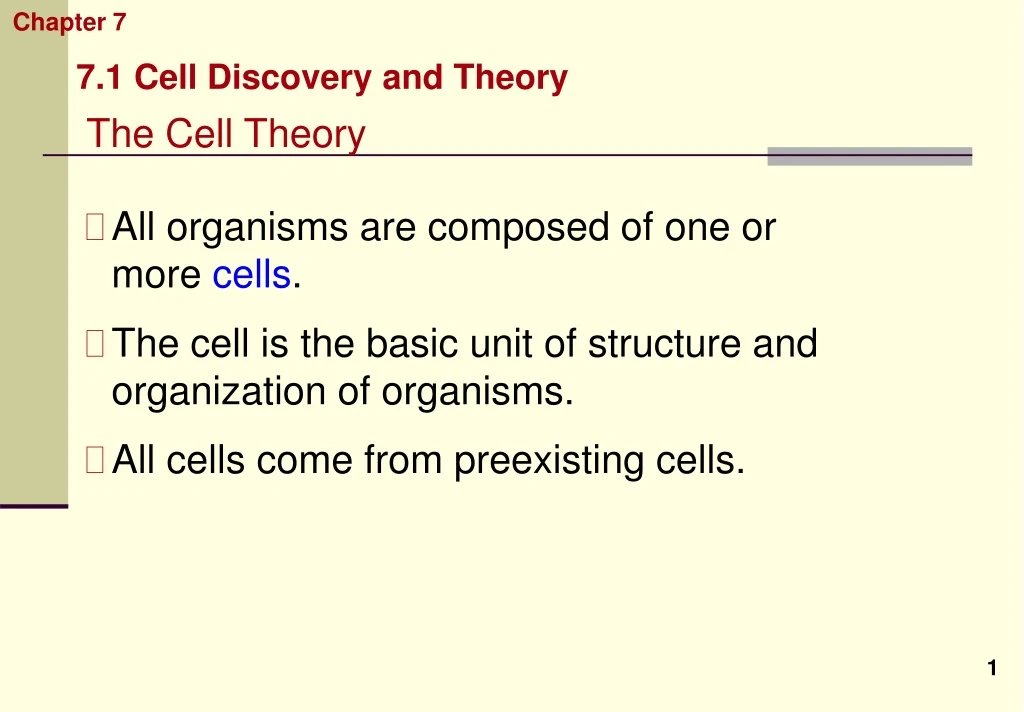 cellular structure and function