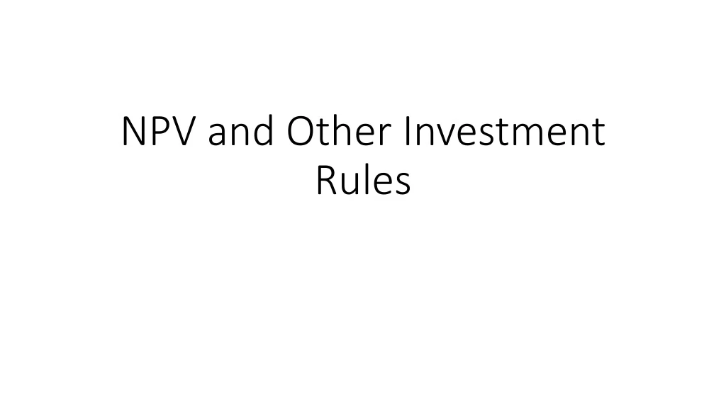 npv and other investment rules
