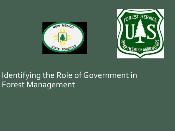 Identifying the Role of Government in Forest Management
