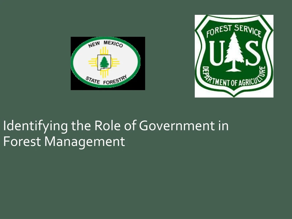 identifying the role of government in forest management