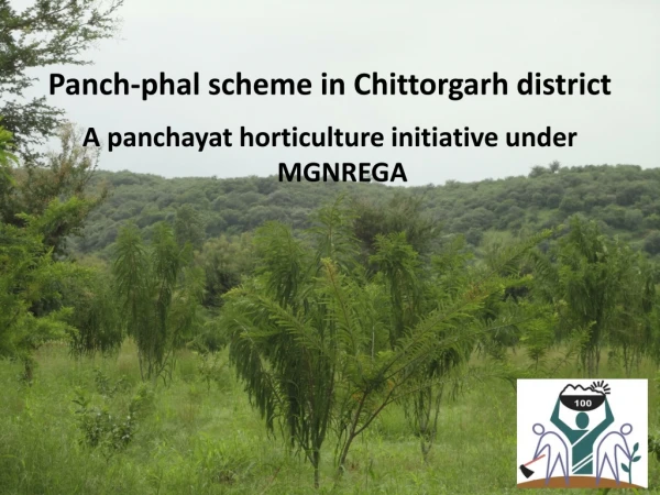 Panch-phal scheme in Chittorgarh district