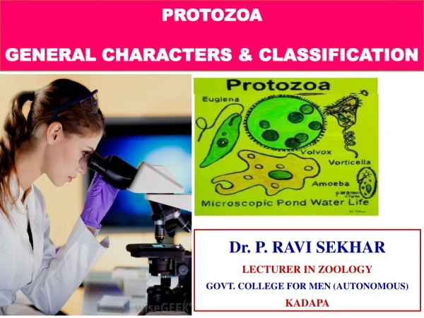 PROTOZOA  GENERAL CHARACTERS &amp; CLASSIFICATION