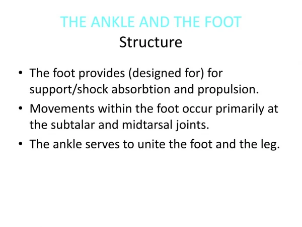 THE ANKLE AND THE FOOT Structure
