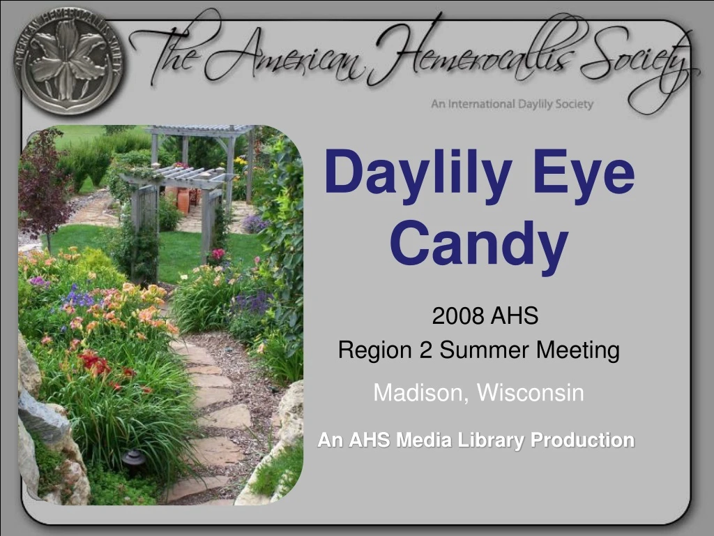 daylily eye candy 2008 ahs region 2 summer