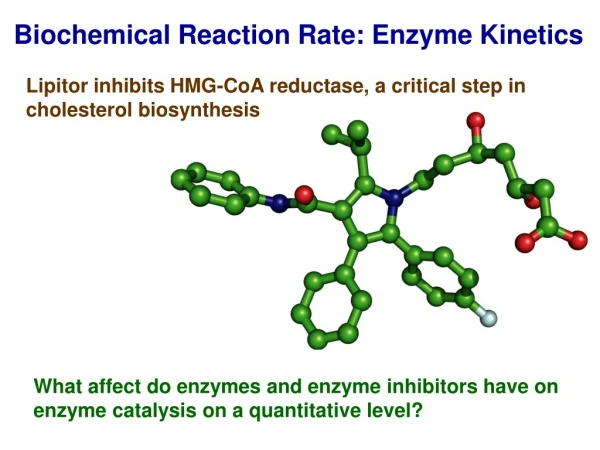 Biochemical Reaction Rate: Enzyme Kinetics
