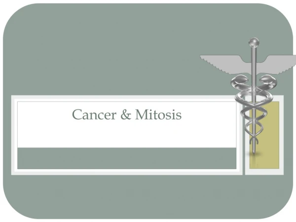 Cancer &amp; Mitosis