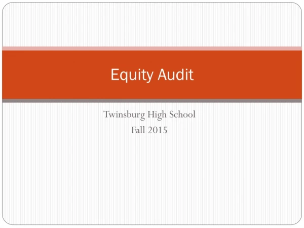 Equity Audit