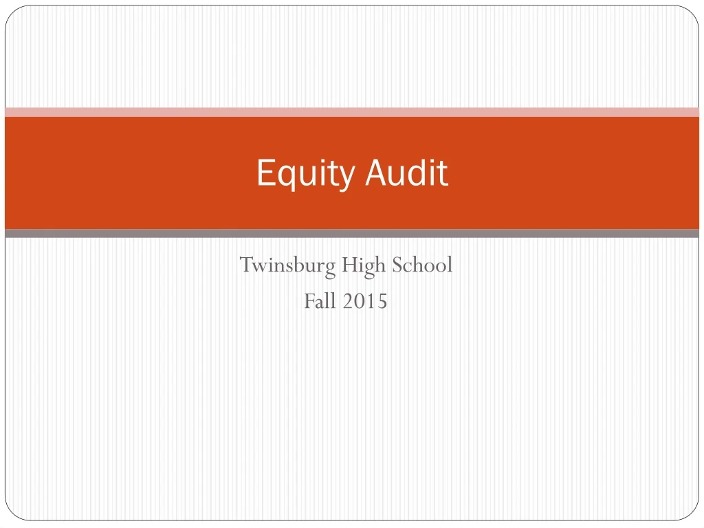 equity audit