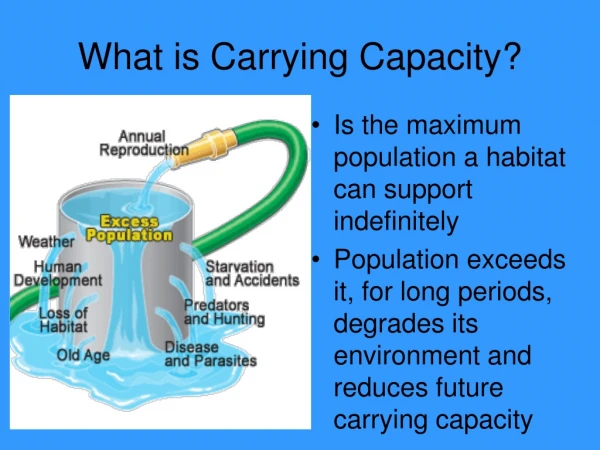 What is Carrying Capacity?