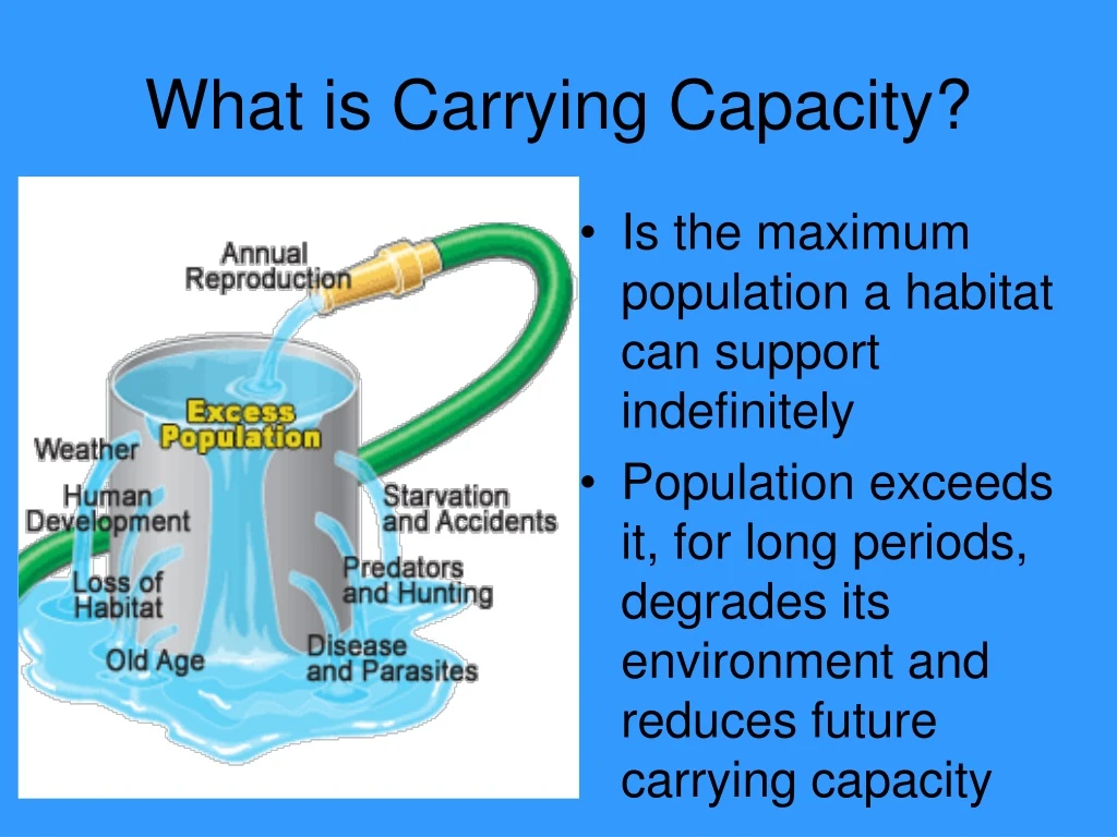 what is carrying capacity