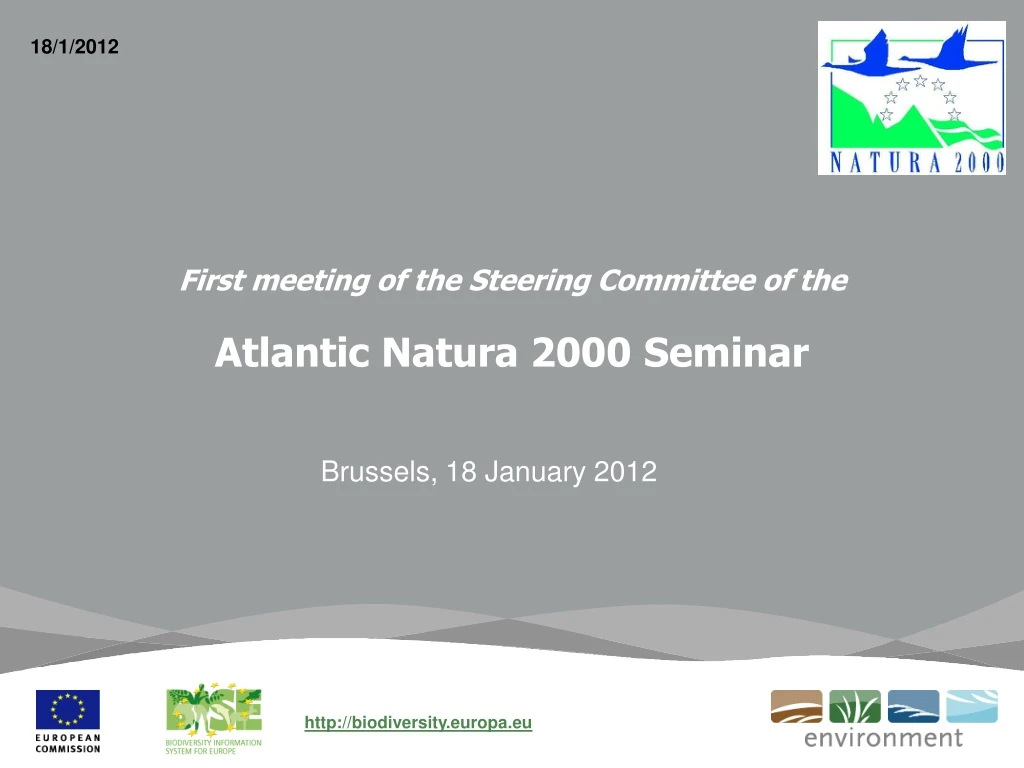 first meeting of the steering committee of the