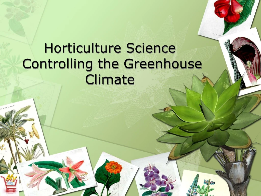 horticulture science controlling the greenhouse climate