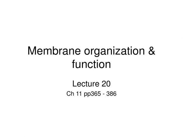 Membrane organization &amp; function