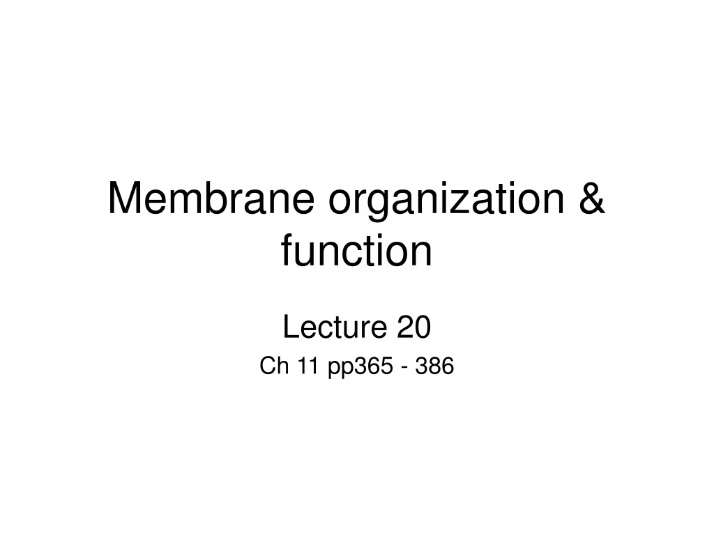 membrane organization function