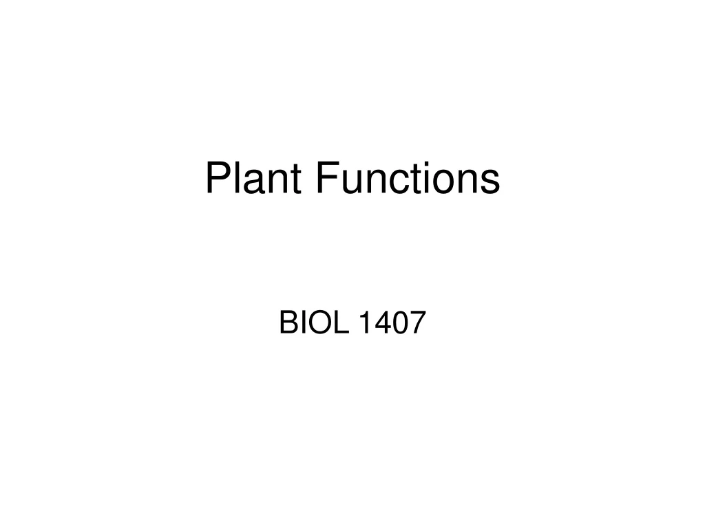 plant functions
