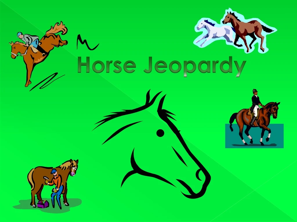 horse jeopardy