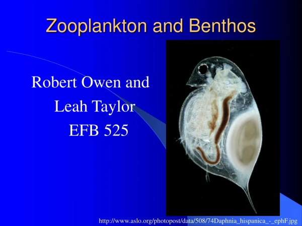 Zooplankton and Benthos
