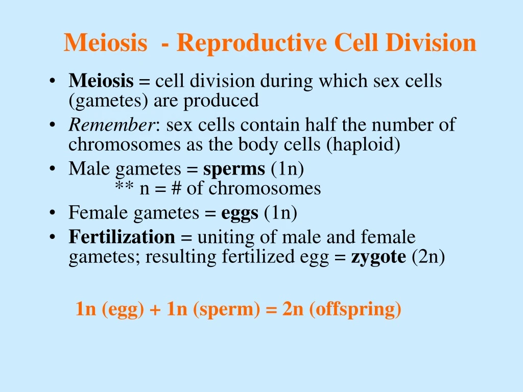 meiosis reproductive cell division