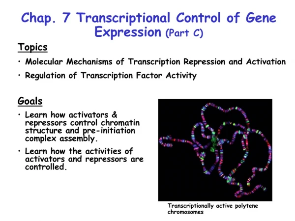 Chap. 7 Transcriptional Control of Gene Expression  (Part C)