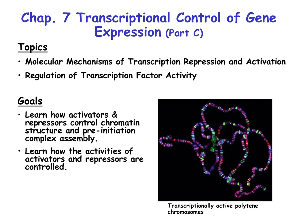 chap 7 transcriptional control of gene expression