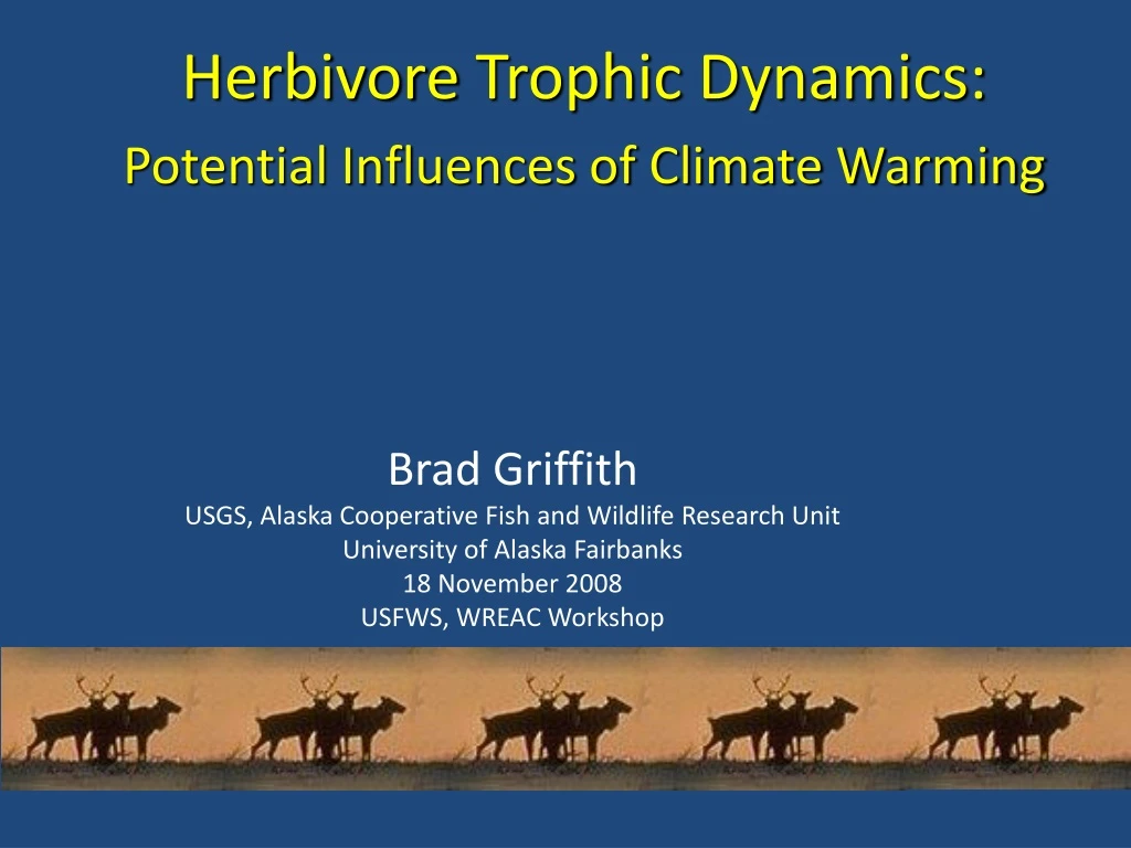 herbivore trophic dynamics potential influences