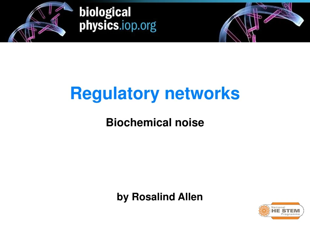regulatory networks biochemical noise