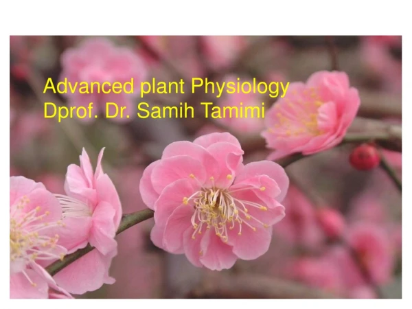 Advanced plant Physiology Dprof. Dr. Samih Tamimi