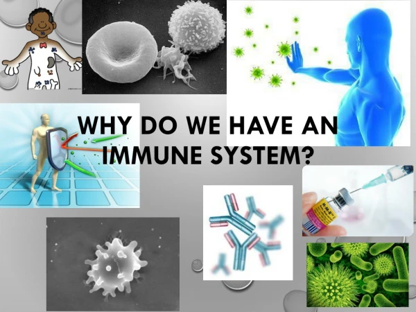 Why do we have an immune system?